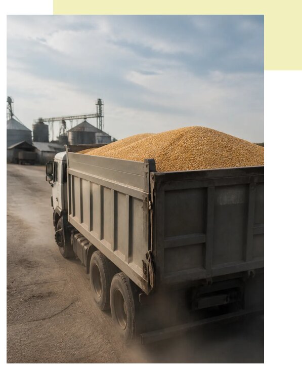 Перевозка сельхозпродукции навалом в Тайшет по цене от 3116 р. | Агросервис-Тшт